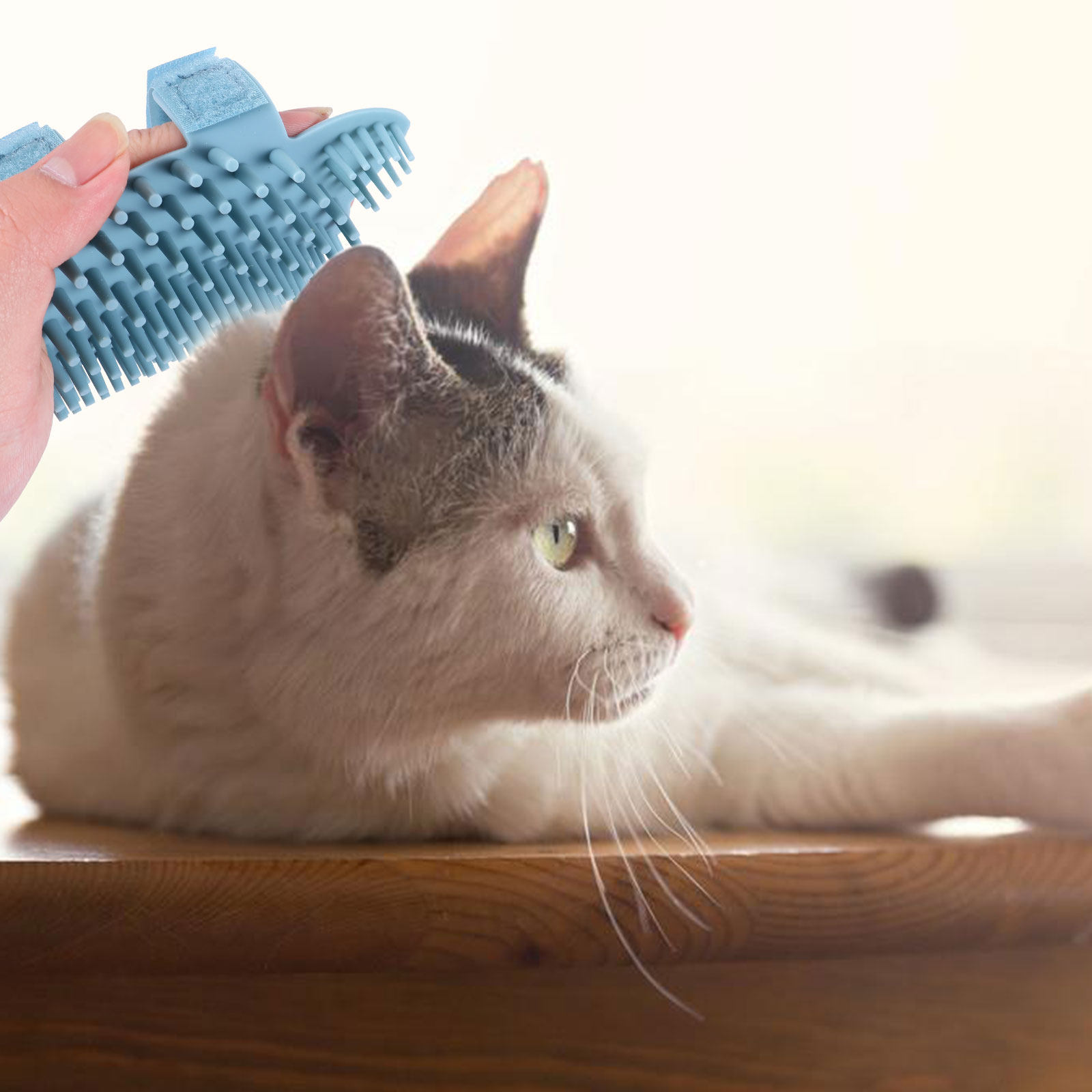 Szczotka do pielęgnacji kotów  – Pet Hair Remover Brush recenzja i cena