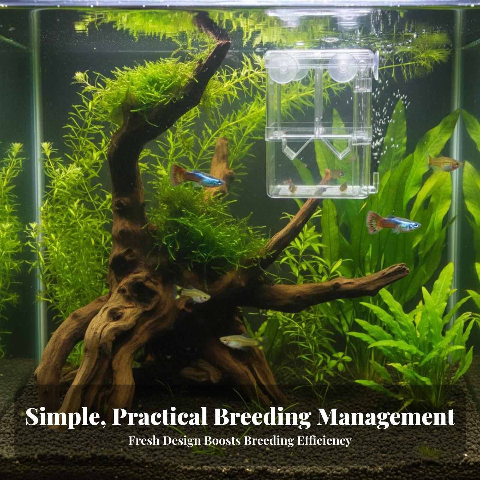 Dwuwarstwowy akwarium hodowlan – Aquarium Fish Tank recenzja i cena