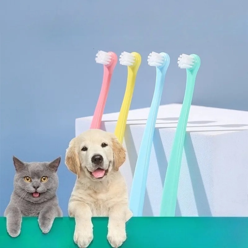 Szczoteczka do zębów dla psa,  – Pet Supplies Co recenzja i cena