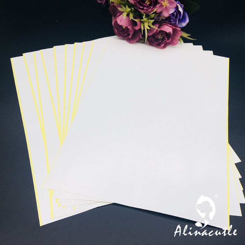 10PC X A4 taśma dwustronna moc – Pet X Supplies & Tack Howell recenzja i cena
