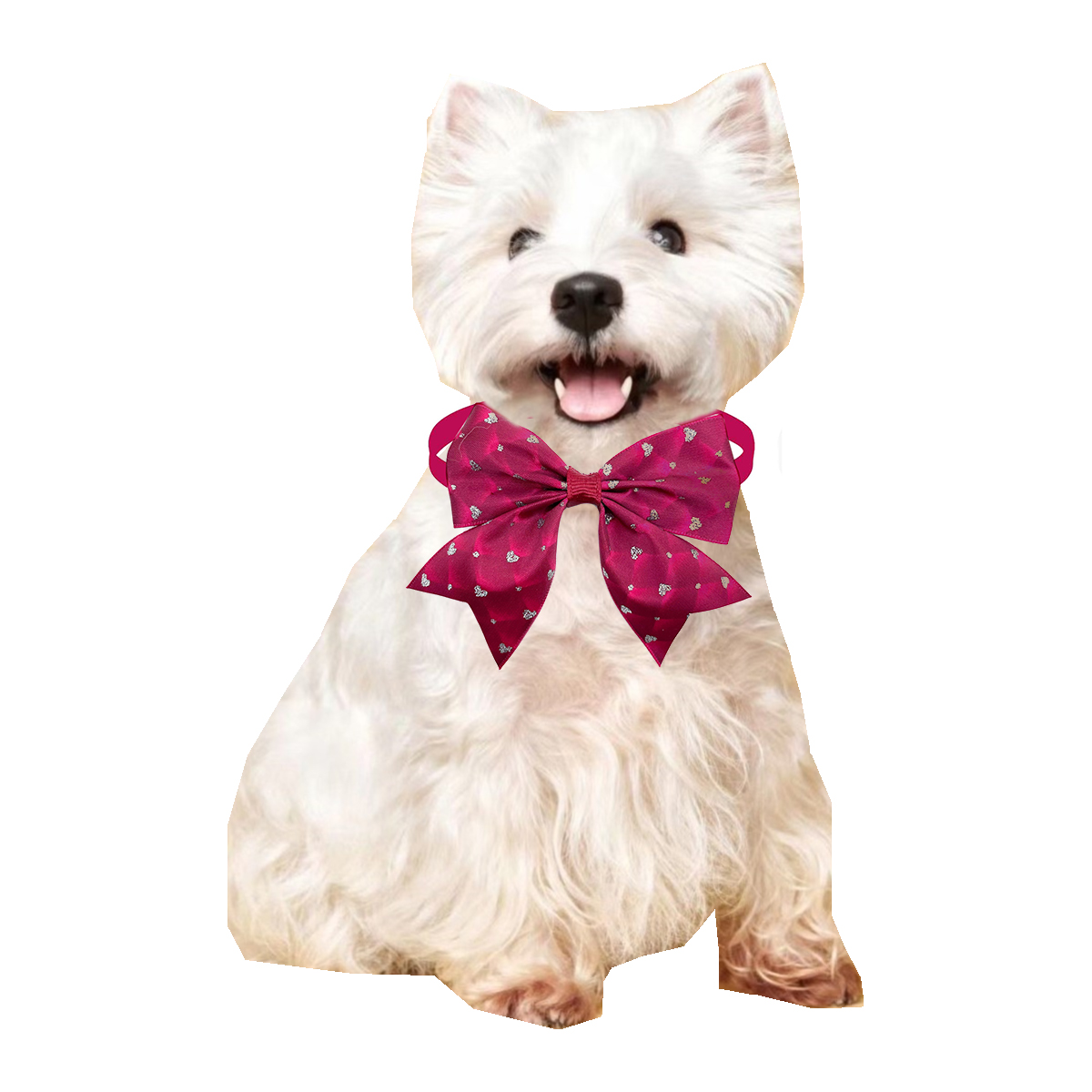 50/100 sztuk muszka dla psa st – Pet Supplies Co recenzja i cena