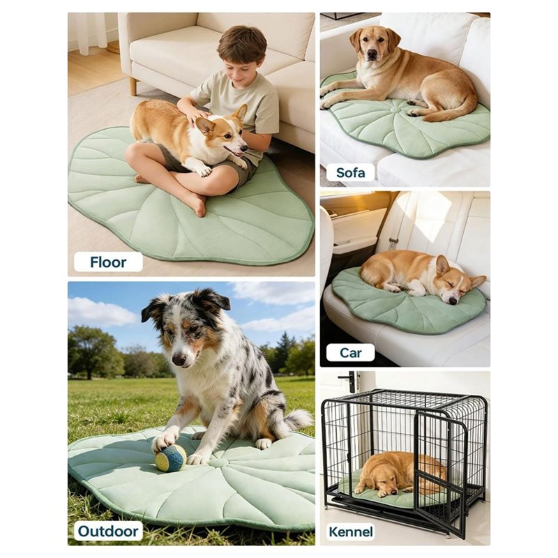 [NEWA08R】 Mata chłodząca dla p – Pet Supplies Self Wash recenzja i cena