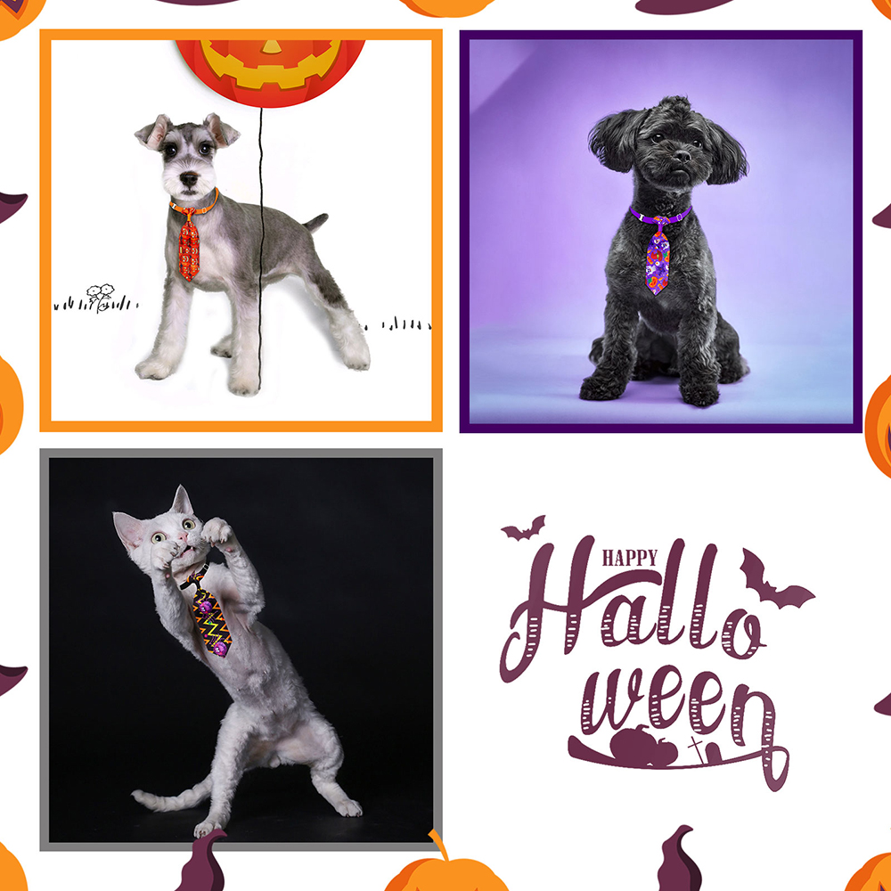 50/100 sztuk Halloween akcesor – Pet Supplies Co recenzja i cena