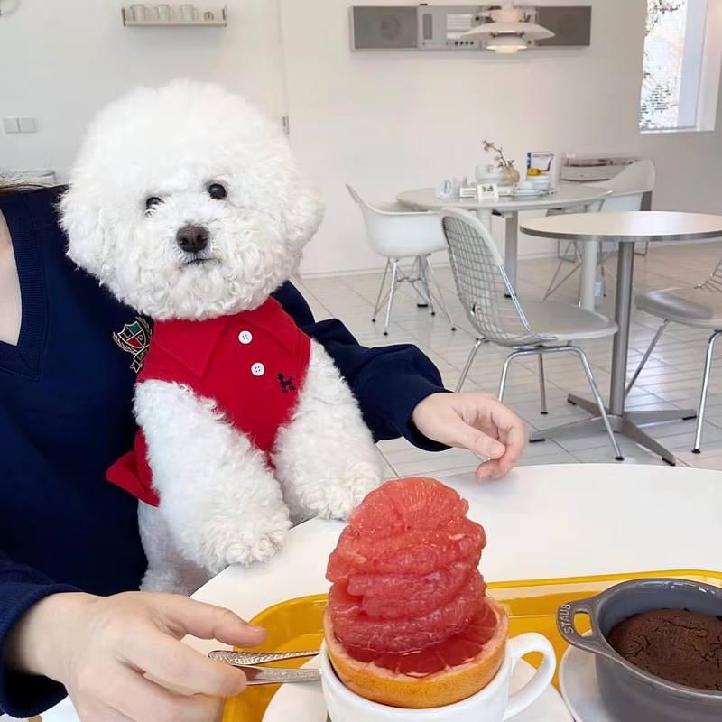Nowa koszulka polo dla psa, fa – Pet Supplies Co recenzja i cena