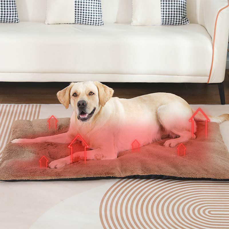 Samonagrzewająca się mata dla  – Pet Supplies Self Wash recenzja i cena
